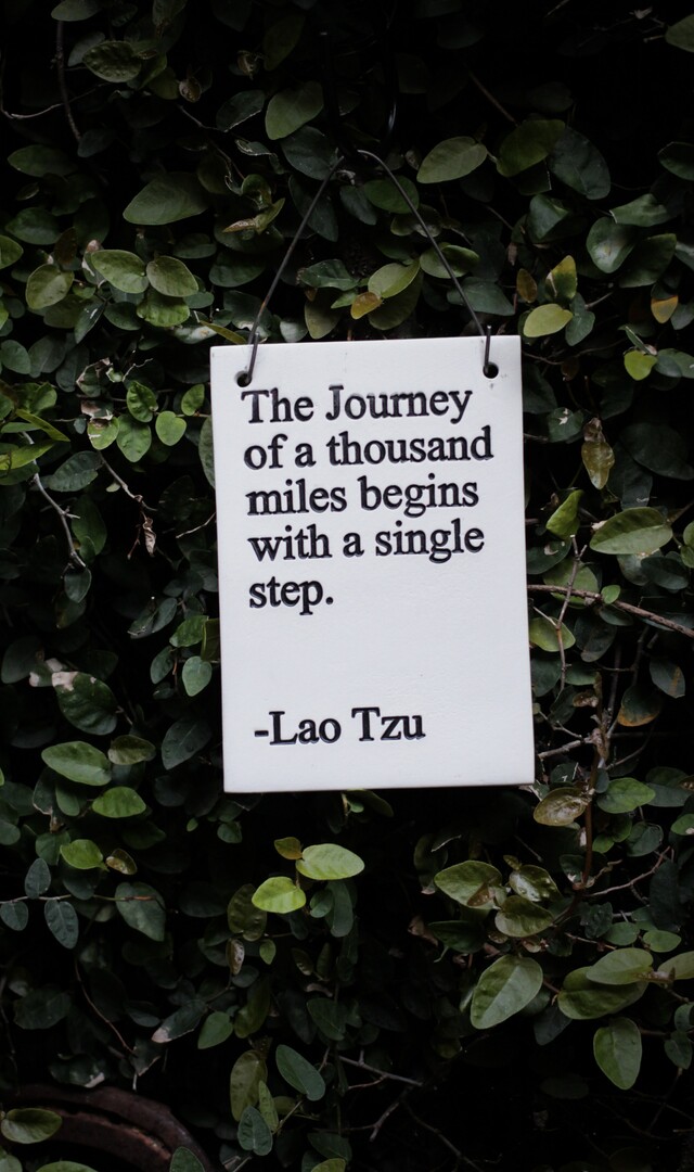 | © Hester Qiang, Unsplash Hester Qiang, Unsplash | © Hester Qiang, Unsplash
