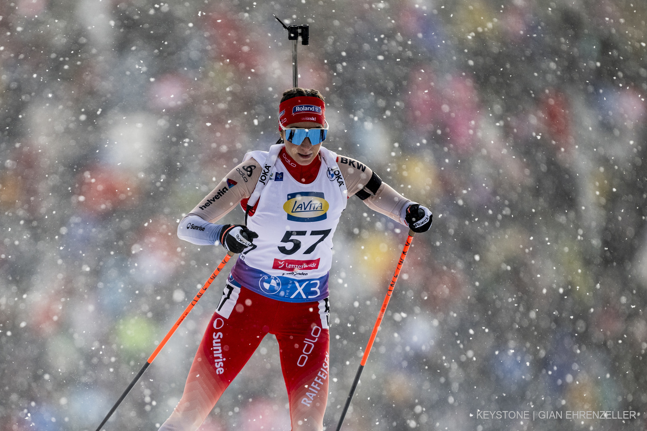  + © NordicFocus