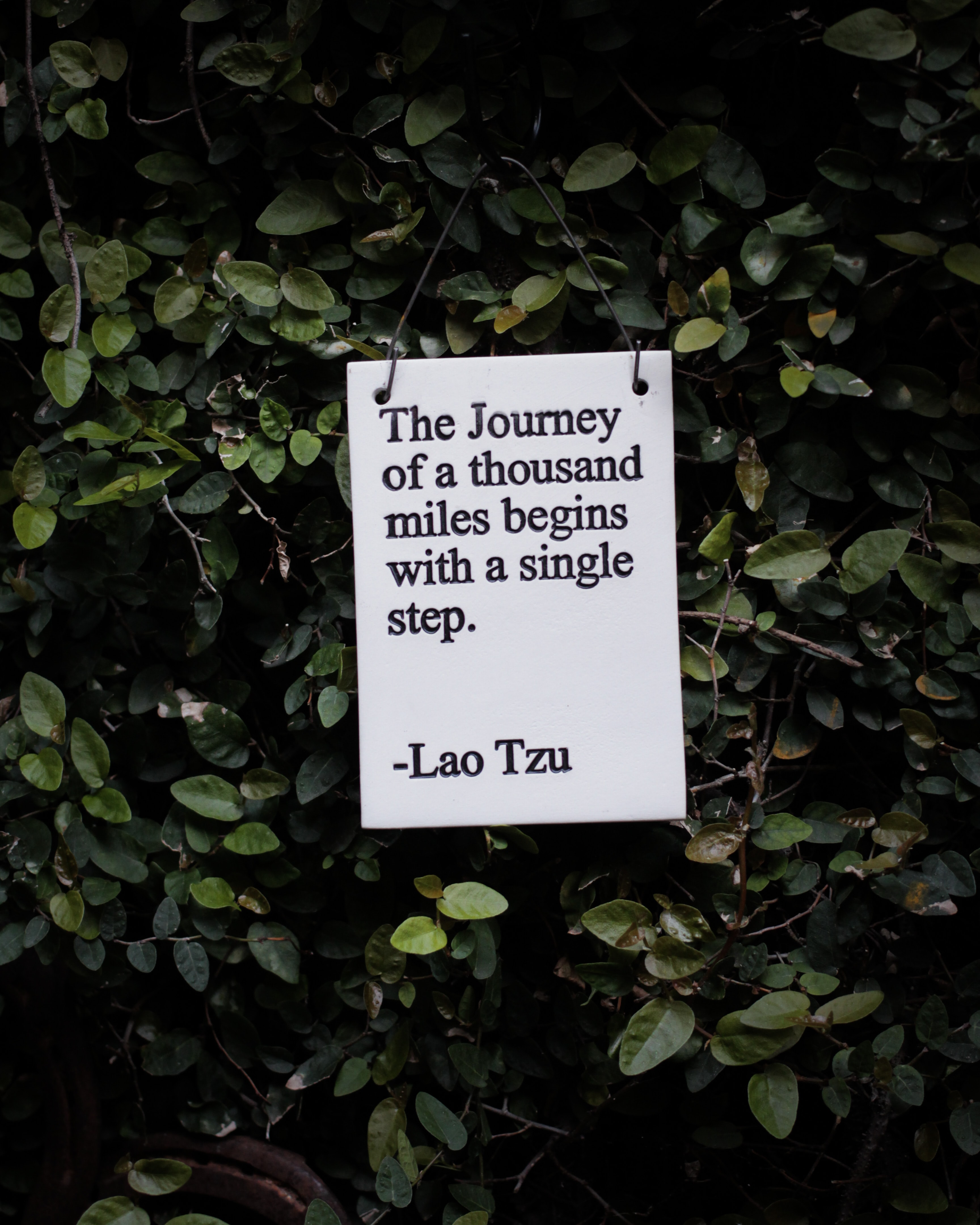 | © Hester Qiang, Unsplash Hester Qiang, Unsplash | © Hester Qiang, Unsplash