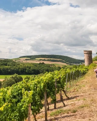 | © Rheinhessen Tourismus e.V. | © Rheinhessen Tourismus e.V.